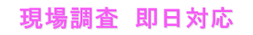 現場調査 即日対応